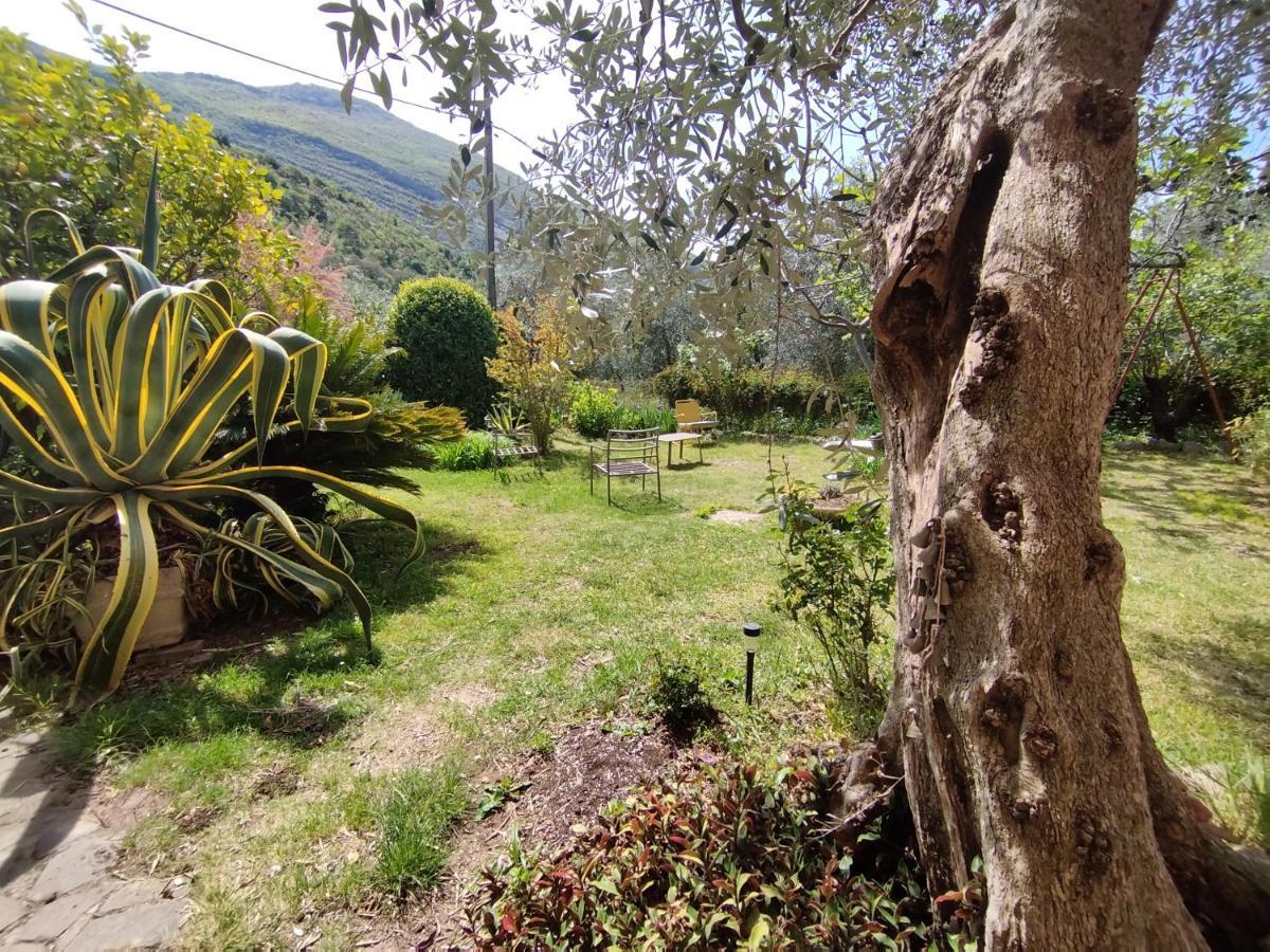 Appartamento Casa di Nin Torbole Sul Garda Esterno foto