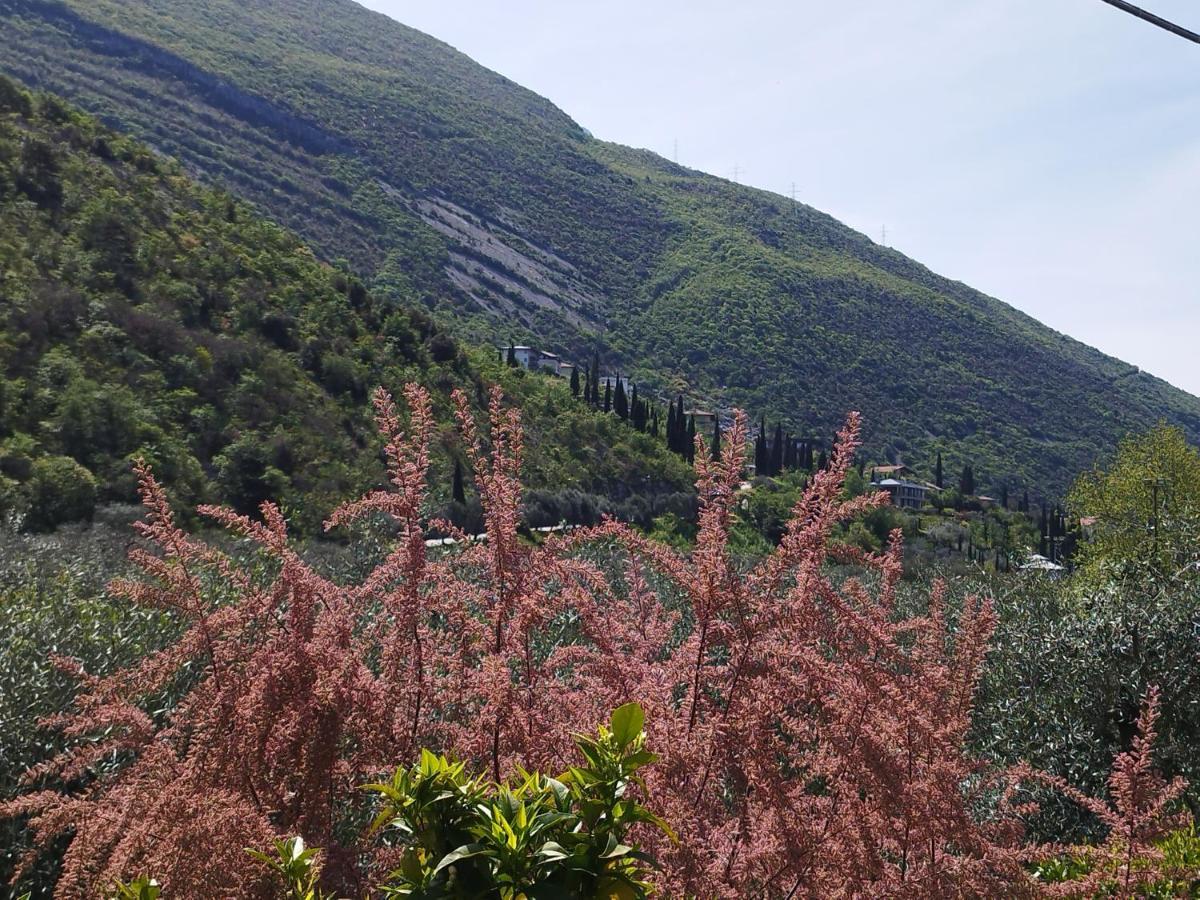 Appartamento Casa di Nin Torbole Sul Garda Esterno foto