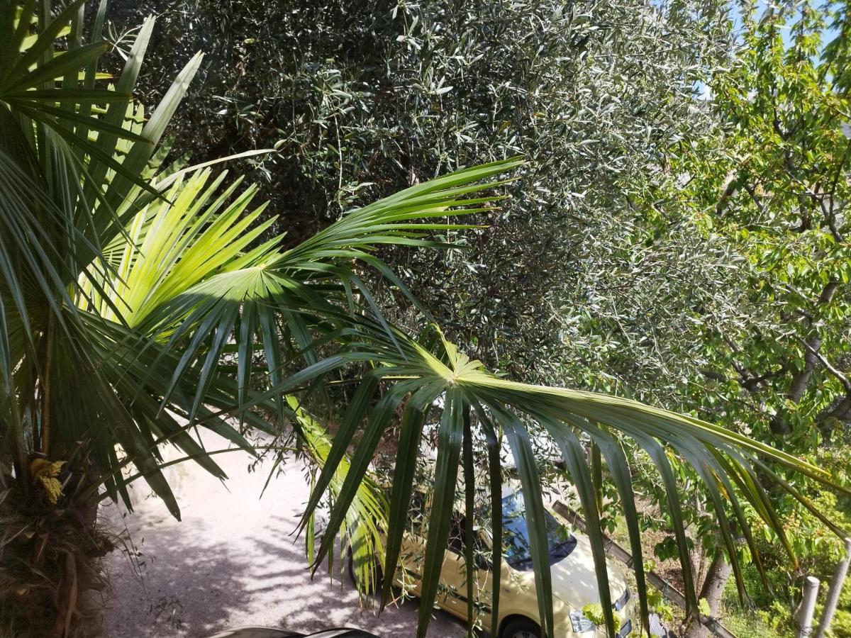Appartamento Casa di Nin Torbole Sul Garda Esterno foto