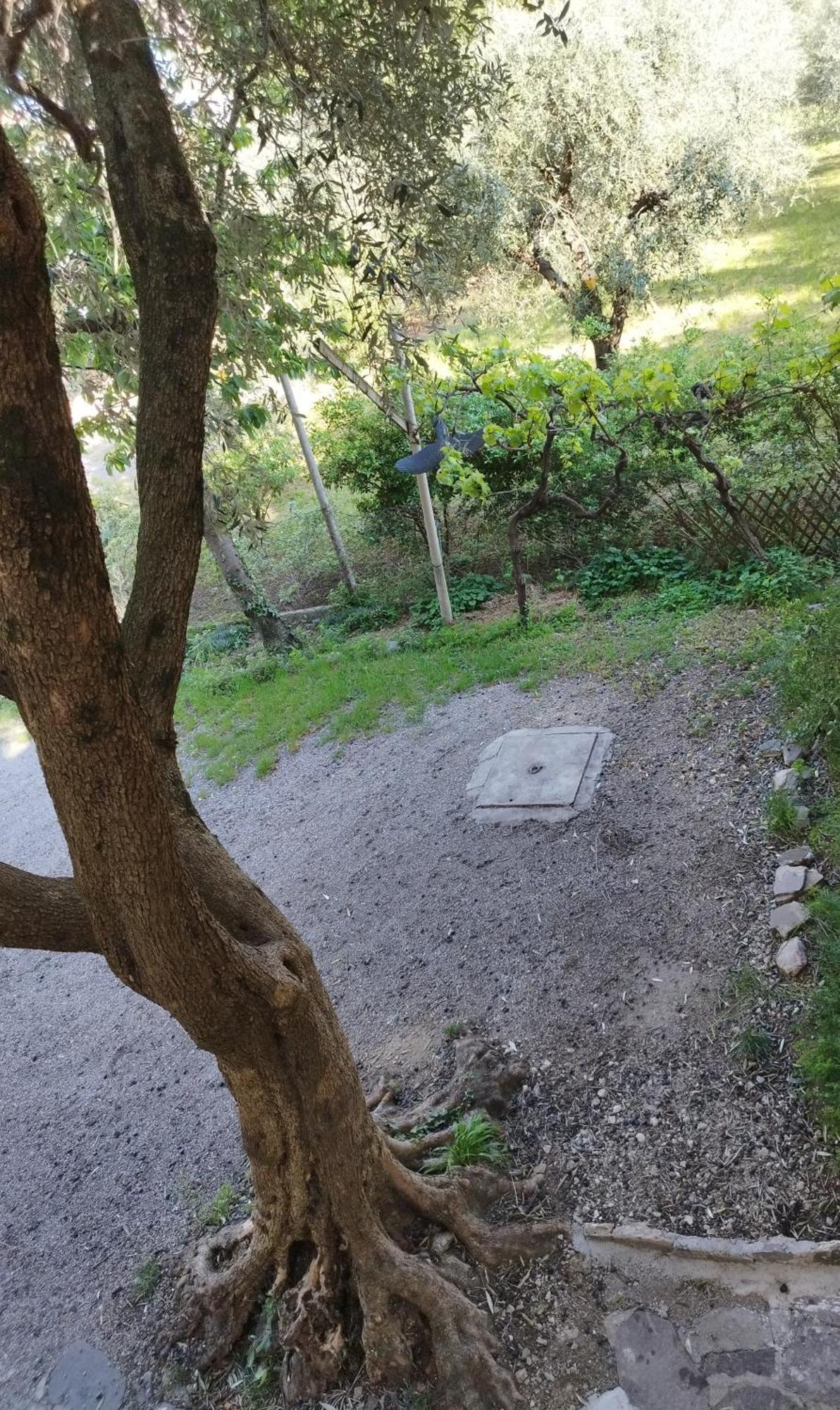 Appartamento Casa di Nin Torbole Sul Garda Esterno foto
